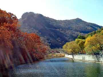 新澳天天开奖资料大全旅游团，锁架